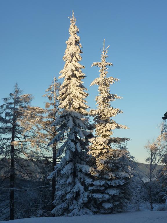 Der Loeffler Am Semmering Bed&Breakfast Ngoại thất bức ảnh